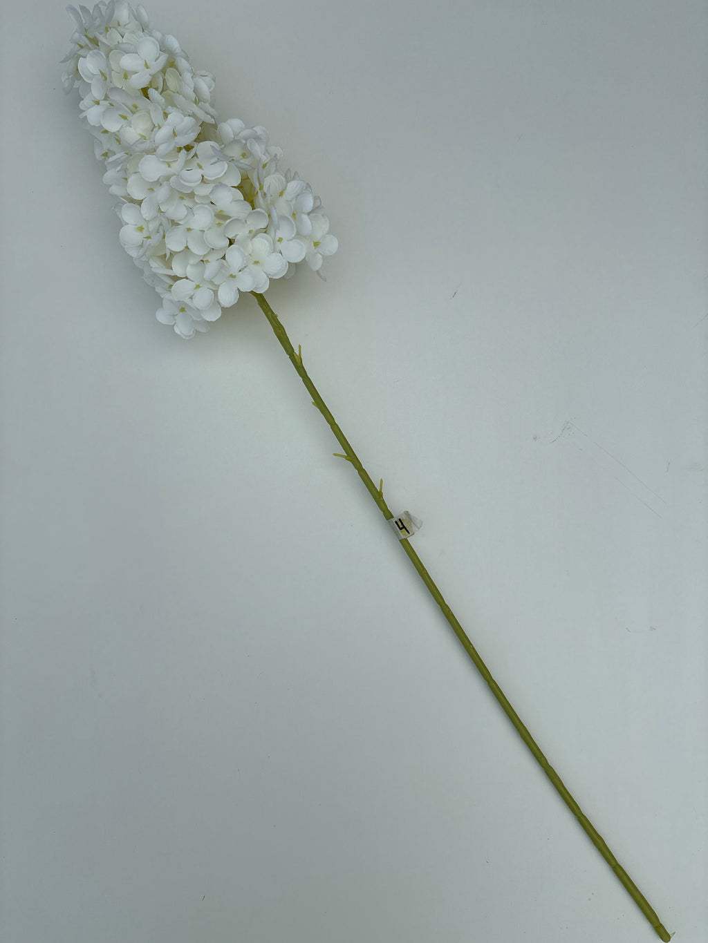 White Silk Panicle Hydrangea - 32"