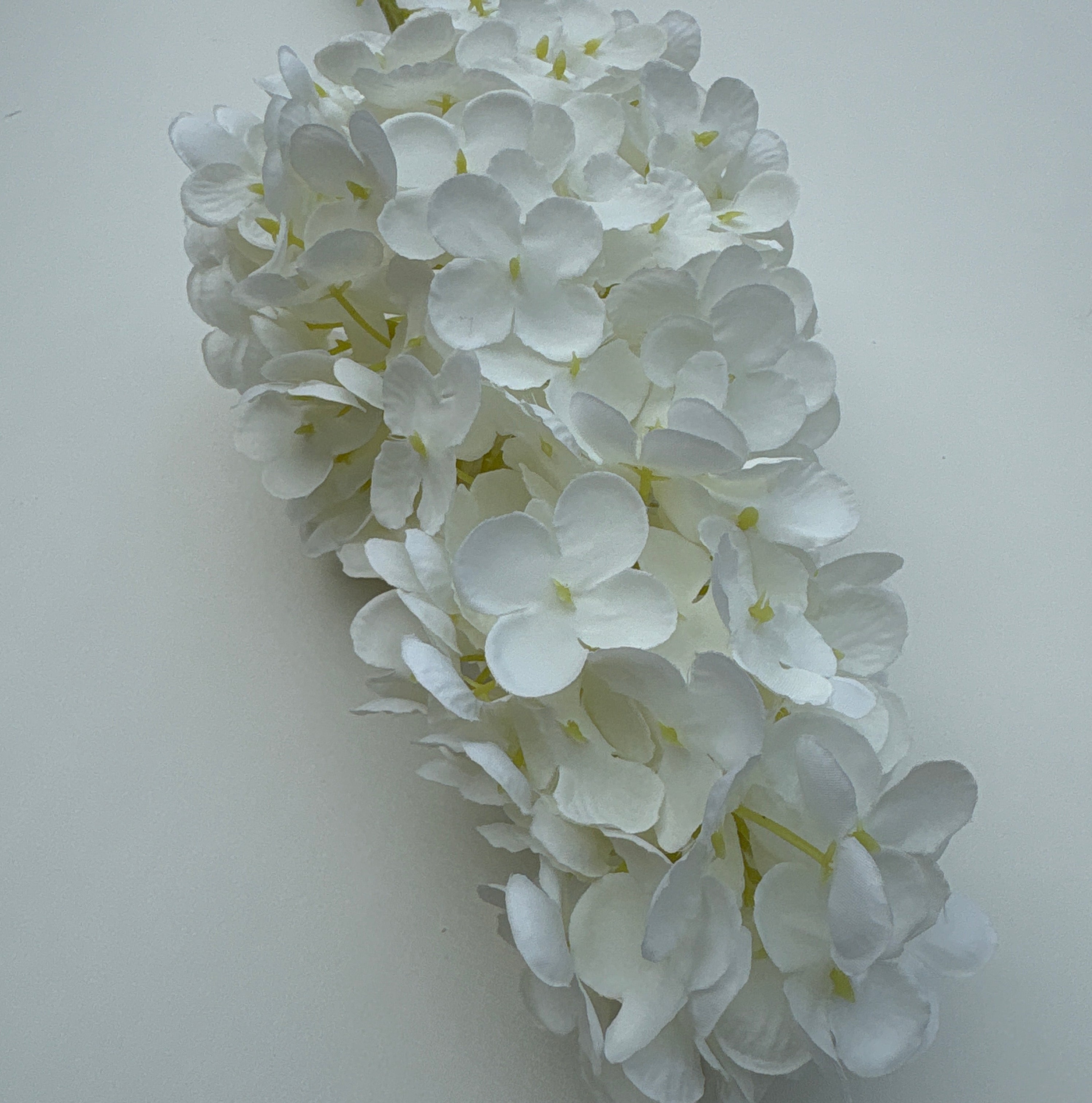 White Silk Panicle Hydrangea - 32"