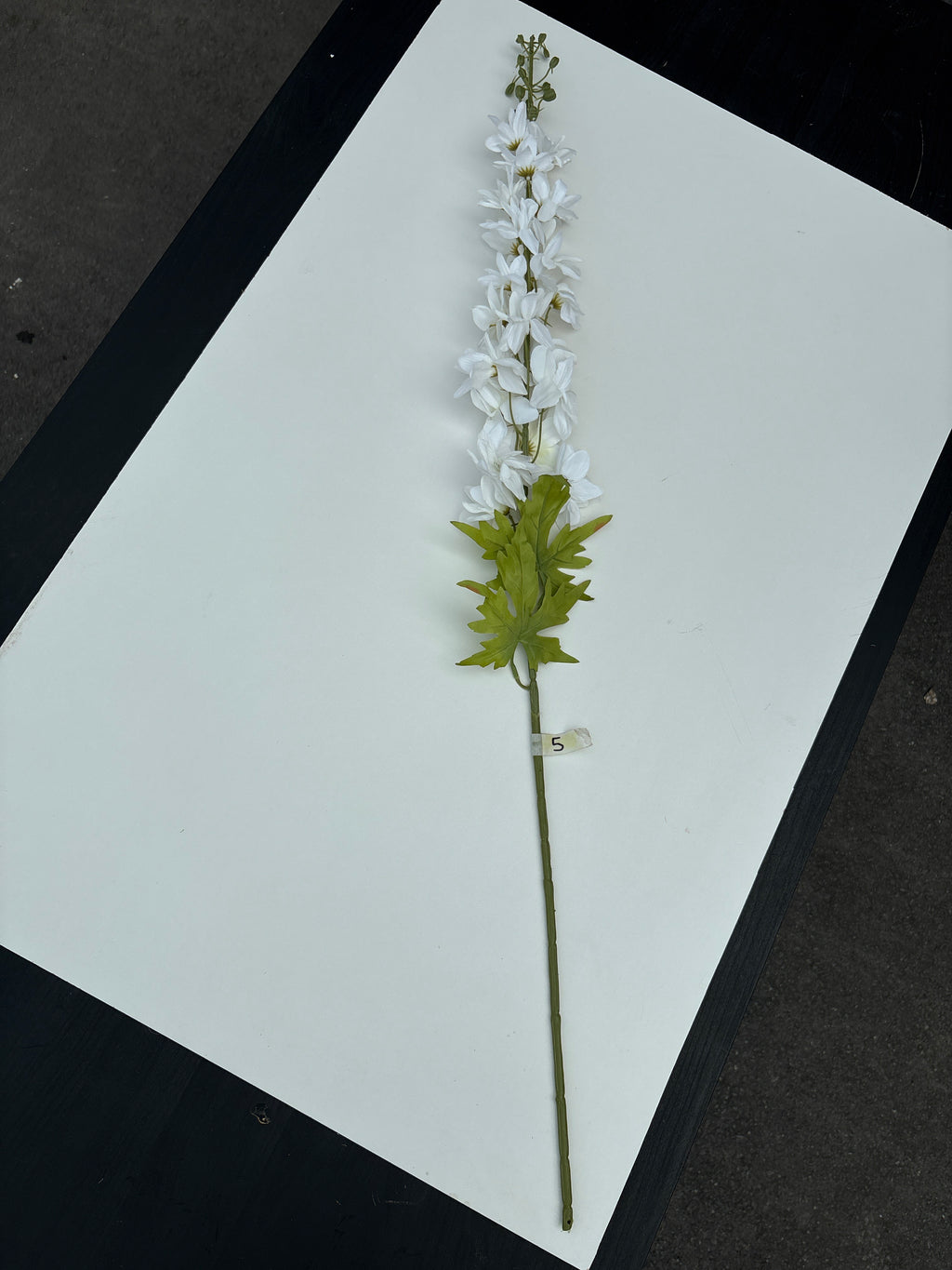 White Silk Delphinium- 41"