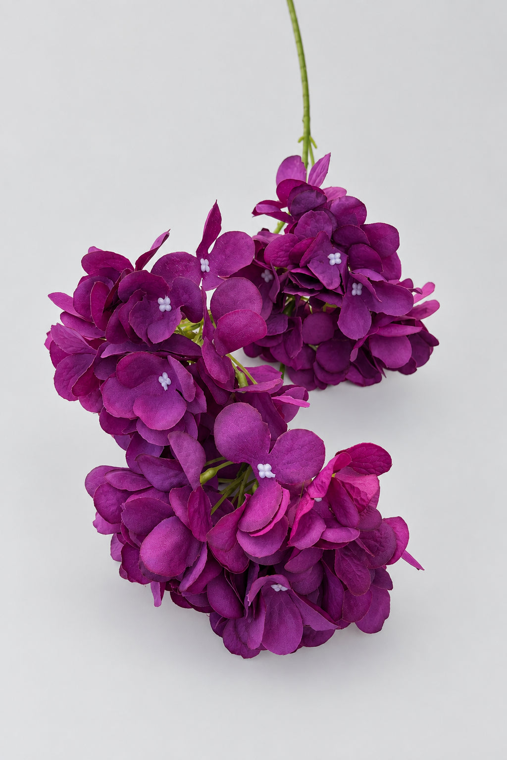 RBx14