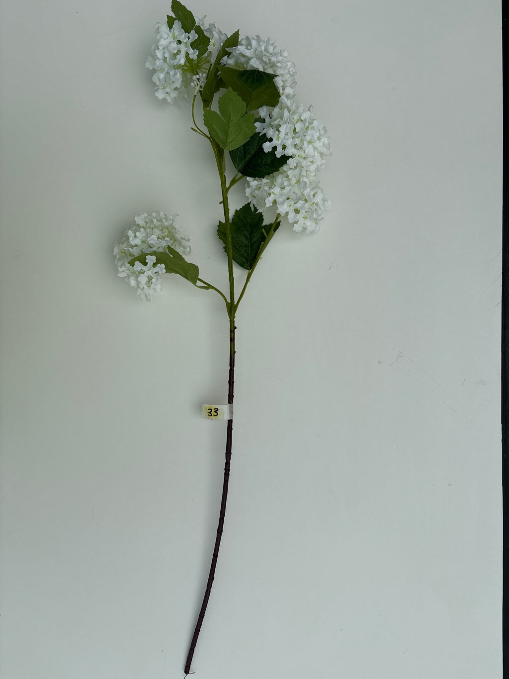 White Snowball Hydrangeas - 31"