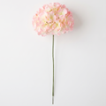 Blush Pink Gradient Silk Hydrangea - 27"